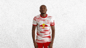 Football Wtf GIF by RB Leipzig