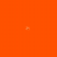 Eduardo Bismarck GIF by GuilhermeBismarck