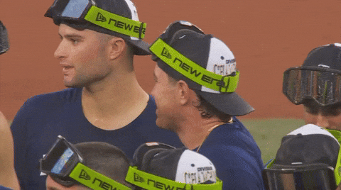 Blue Jays Baseball GIF by Toronto Blue Jays