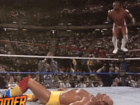 wwe sports wwe wrestling 1989 GIF