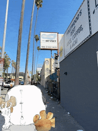 La California GIF by Alex Boya