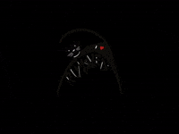Kristina_laukemper_art beckum rumskedi schwarzerkater rumskedikater iloverumskedi GIF