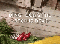 Wizard Of Oz GIF by slicedbread