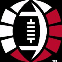Football Touchdown GIF by Bowl Season