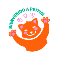 Cat Sticker