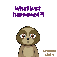 What Happened Sloth Sticker by VeeFriends