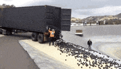 news mic GIF