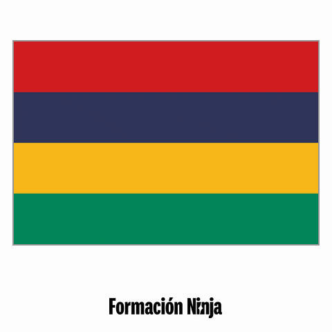 Flag Bandera GIF by Formación Ninja