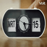 Verkiezingen Stemvolt GIF by VoltNL