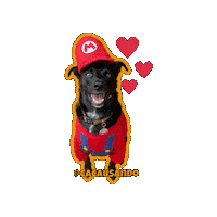 Happy I Love You Sticker