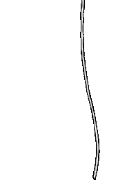 Paperboyo Sticker by WWF_UK