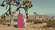 Excited Pool Party GIF by DC The Don