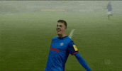 Celebration Win GIF by Holstein Kiel