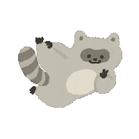 Lucy Raccoon Sticker