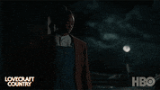 Hbo GIF by Lovecraft Country