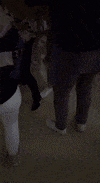Dance Love GIF by Vfb.1919.vacha