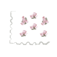 Osn Sticker by Our Second Nature