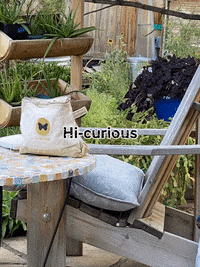 HiCurious hi community wellness butterfly GIF