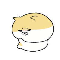Angry Funny Cat Sticker