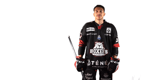 Ice Hockey Goal Sticker by Boxers de Bordeaux