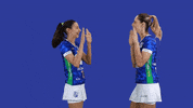 Volleyball Gattaz GIF by Minas Tênis Clube