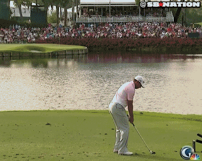 tiger woods GIF by SB Nation