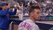 Celebrate New York Mets GIF by SNY
