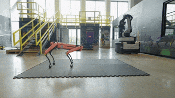 Robot Spot GIF by BostonDynamics