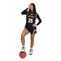 Womens Basketball Sticker by WVU Tech Golden Bears
