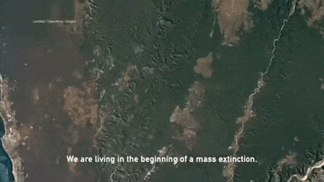 climate change climate crisis greta thunberg global climate strike george monbiot GIF