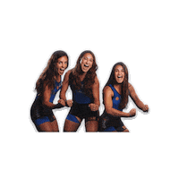 ACTraineras act tolosaldea Sticker