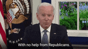 Not Helping Joe Biden GIF by The Democrats