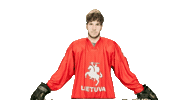 Hockey Sticker by ledoritulys.lt