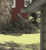 chris brown GIF by Josh Rigling