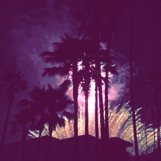 4th of july fireworks GIF by dani