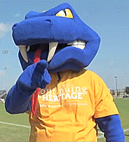 point pointing GIF by St. Mary's University