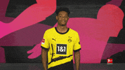 Borussia Dortmund Football GIF by Bundesliga