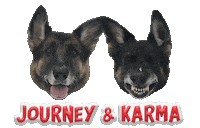 Dogs Karma Sticker