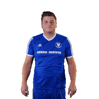 SV_Arnsberg_09 fussball jubel bier adler Sticker