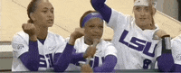 Softball Lsu GIF by NCAA Championships