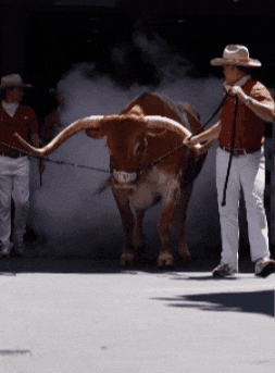 Texas Football GIF by Texas Longhorns