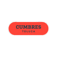 Aguascalientes Sticker by TDLA