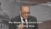 Chuck Schumer GIF by GIPHY News