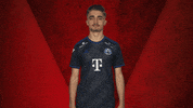 Fifa Hamburg GIF by Bundesliga