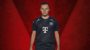 Fifa Hamburg GIF by Bundesliga