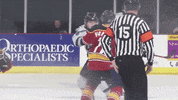 QCStorm storm quad city storm qcstorm qc storm GIF