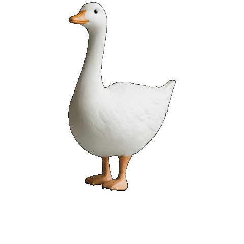 Vaalit Sticker by Pohjanmaan Kokoomus