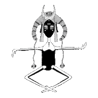 Zenon Fusion Gatherings Sticker by DM7 Bookings