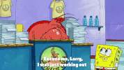 season 9 GIF by SpongeBob SquarePants
