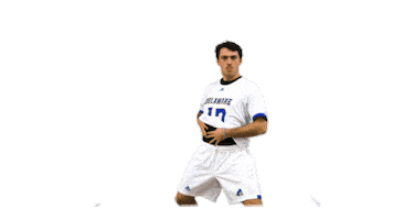 Mens Lacrosse Fun Sticker by Delaware Blue Hens